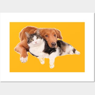 Dog & Cat Posters and Art